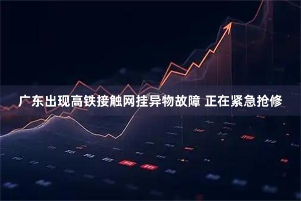 广东出现高铁接触网挂异物故障 正在紧急抢修