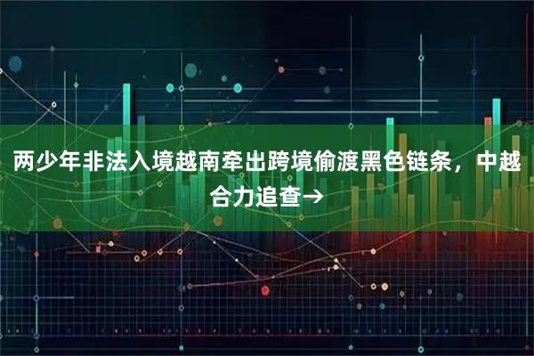 两少年非法入境越南牵出跨境偷渡黑色链条，中越合力追查→