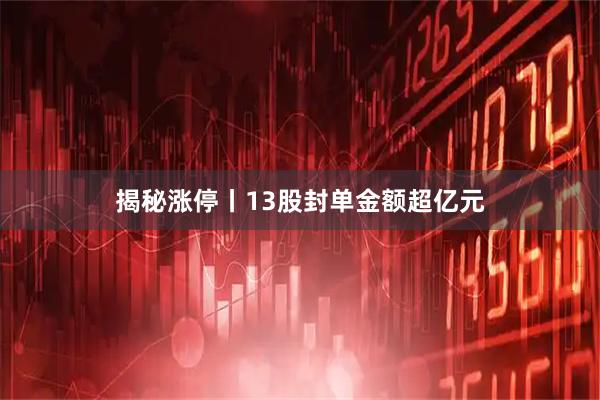 揭秘涨停丨13股封单金额超亿元