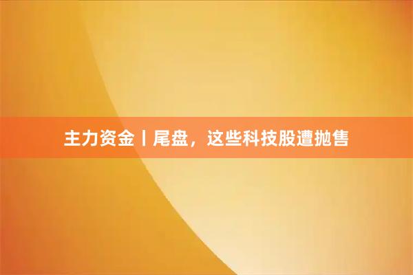 主力资金丨尾盘，这些科技股遭抛售